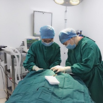 Minimal Invasive surgery